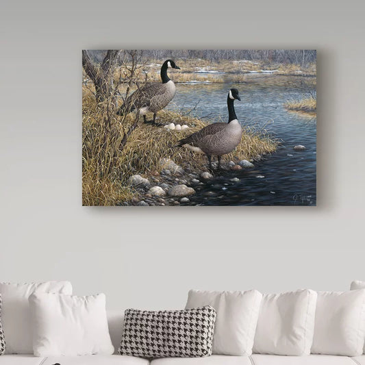 'Canadian Pair' Graphic Art Print on Wrapped Canvas